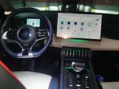 BYD Yuan PLUS 510KM Flagship PLUS - ფოტო 16