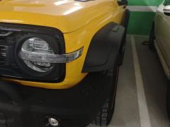 Tank 300 2.0T Frontier Limited Edition - photo 4
