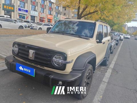 2025 Tank 300 New Energy 2.0T Hi4-T 37.1kWh - автомобиль из Китая
