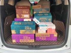 Honda Elysion e:HEV 2.0L Luxury Edition - фото 7