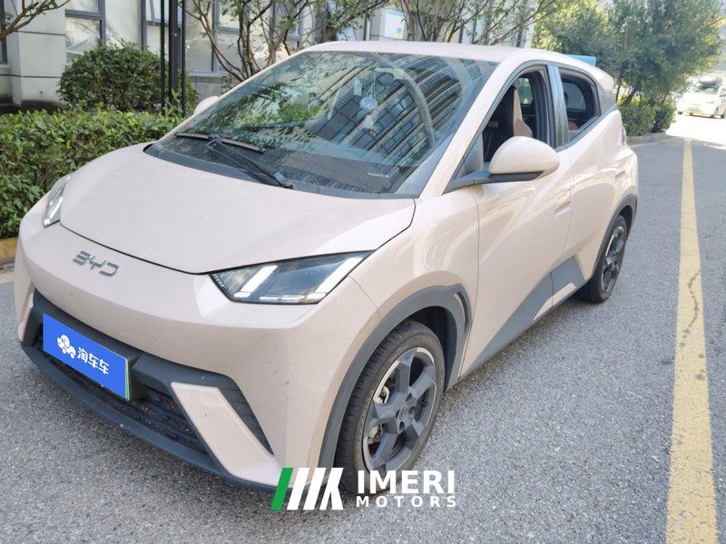 BYD Seagull 305km Free Version - ავტომობილი ჩინეთიდან