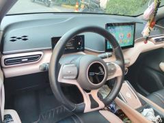 BYD Seagull 305km Free Version - ფოტო 16