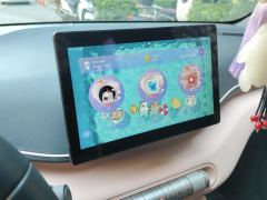 BYD Seagull 305km Free Version - ფოტო 17