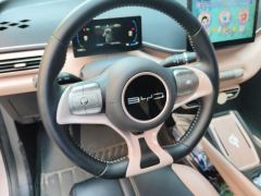 BYD Seagull 305km Free Version - ფოტო 18