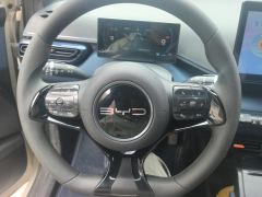 BYD Seagull 305km Vitality Edition - ფოტო 18