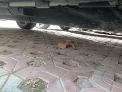 Toyota LINGFANG 2.0L 2WD Edition - фото 11