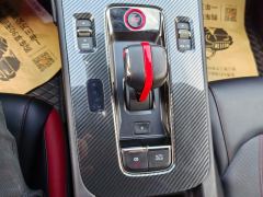 GAC Shadow Leopard 270T J16 Edition - ფოტო 19