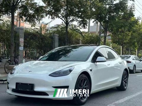 2021 Tesla Model 3 Standard Range Edition - car from China