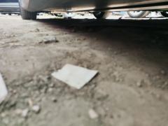 Tesla Model 3 Standard Range Edition - ფოტო 11
