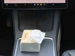 Tesla Model 3 Standard Range Edition - ფოტო 17
