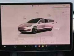 Tesla Model 3 Standard Range Edition - ფოტო 20