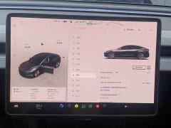 Tesla Model 3 Rear-Wheel Drive - ფოტო 8