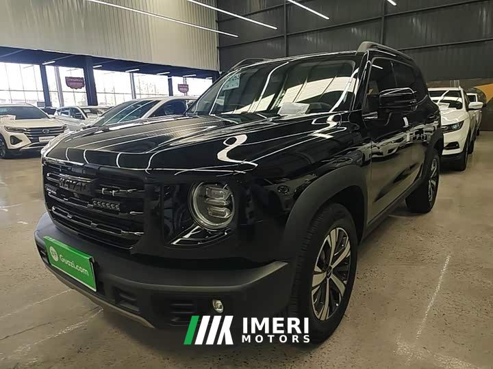 Great Wall Dachshund 1.5T DCT Two-Wheel Drive Labrador Edition - ავტომობილი ჩინეთიდან