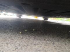 BYD Seal EV Edition 700km Premium Edition - photo 8