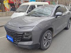 Jetour Dasheng 1.6T PLUS - ფოტო 1