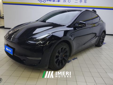 2021 Tesla Model Y Standard endurance rear-wheel drive - автомобиль из Китая