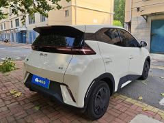 BYD Seagull 305km Vitality Edition - ფოტო 2