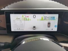 Geely ICON 1.5T Edition - ფოტო 20