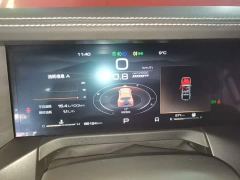Tank 300 Off-Road Edition 2.0T Challenger - ფოტო 11
