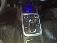 Tank 300 Off-Road Edition 2.0T Challenger - ფოტო 13