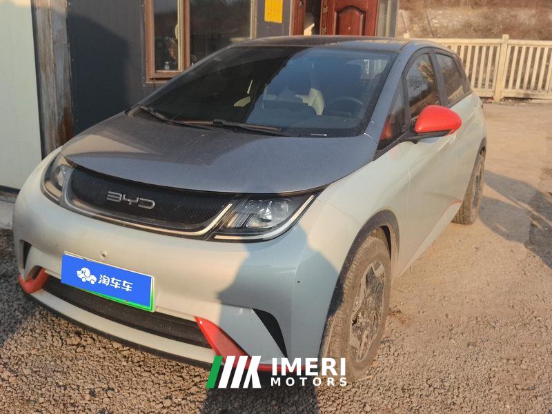 BYD Dolphin 405km Stylish Edition - ავტომობილი ჩინეთიდან