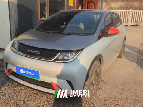 2021 BYD Dolphin 405km Stylish Edition - ავტომობილი ჩინეთიდან