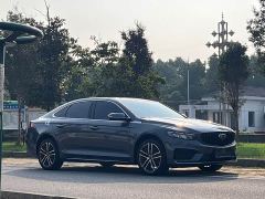Geely Xingrui 2.0T Diesel Luxury - ფოტო 2