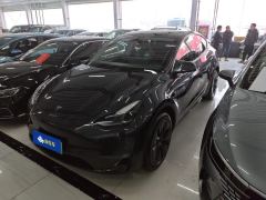 Tesla Model Y 688km Long Range AWD - ფოტო 1