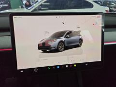 Tesla Model Y 688km Long Range AWD - ფოტო 17
