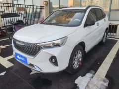 Haval M6 PLUS 1.5T Luxury Version - ფოტო 1