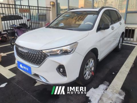 2021 Haval M6 PLUS 1.5T Luxury Version - ავტომობილი ჩინეთიდან