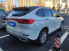 Haval M6 PLUS 1.5T Luxury Version - ფოტო 2
