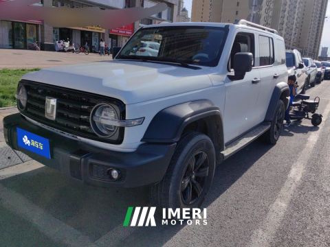 2021 Tank 300 Off-Road Edition 2.0T Challenger - ავტომობილი ჩინეთიდან
