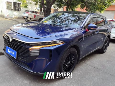 2021 Chégan Venucia V 260T DCT Idol Edition - car from China
