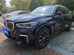 BMW X5 xDrive30Li Deluxe VersionM - photo 1