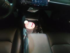 Tesla Model 3 556km Rear-Wheel Drive Edition - ფოტო 19