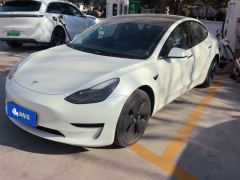 Tesla Model 3 556km Rear-Wheel Drive Edition - фото 1