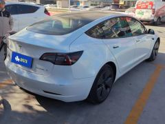 Tesla Model 3 556km Rear-Wheel Drive Edition - фото 2
