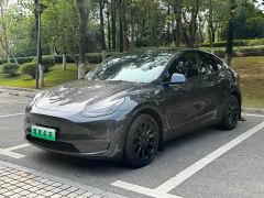 Tesla Model Y Long Range All-Wheel Drive - фото 1