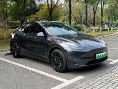 Tesla Model Y Long Range All-Wheel Drive - фото 3