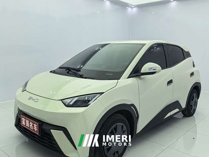 BYD Seagull 305km Vitality Edition - ავტომობილი ჩინეთიდან