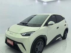 BYD Seagull 305km Vitality Edition - ფოტო 1