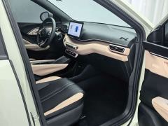 BYD Seagull 305km Vitality Edition - ფოტო 18