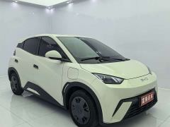BYD Seagull 305km Vitality Edition - ფოტო 3