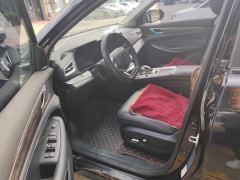 Blue Electric E5 1.5L DE-i 100km Version - ფოტო 14
