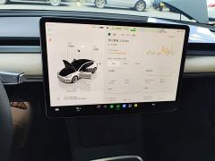 Tesla Model 3 Rear-Wheel Drive - photo 12