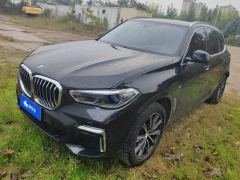 BMW X5 xDrive30Li Deluxe VersionM - ფოტო 1