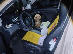 Leapmotor T03 400 Edition - ფოტო 14