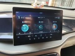 BYD Qin PLUS DM-i 55km Flagship - ფოტო 17