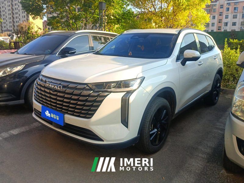 Haval H6 1.5T Two-Wheel Drive Max - car from China